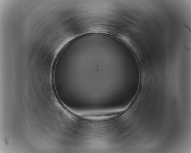 X0000099451331200805231732