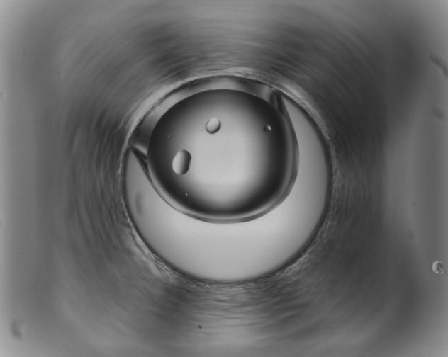 X0000099451332200805231732