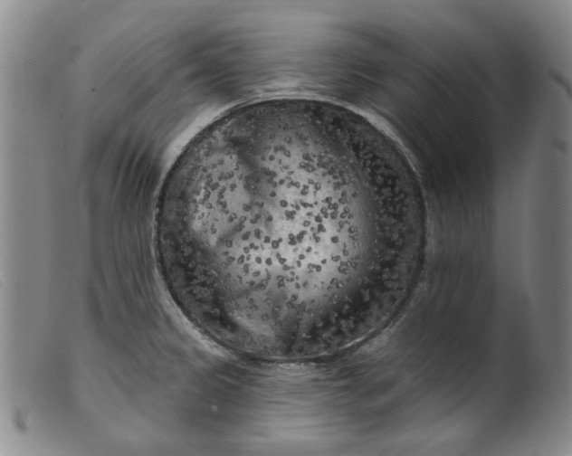 X0000099451333200805231732