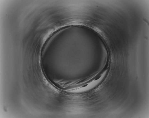 X0000099451334200805231732