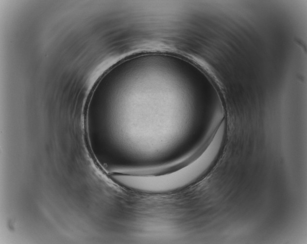 X0000099451335200805231732