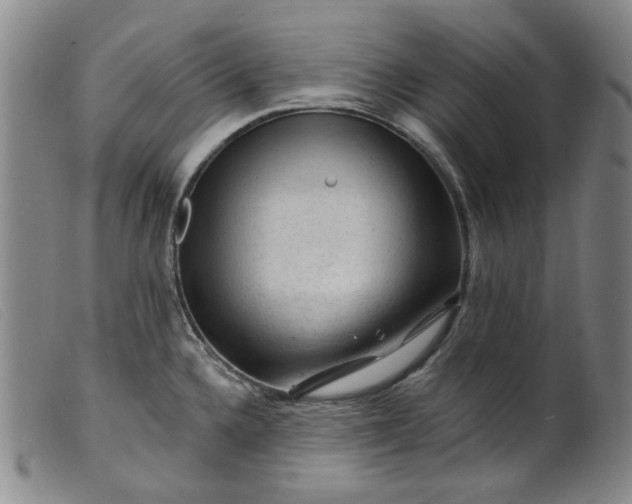 X0000099451336200805231732