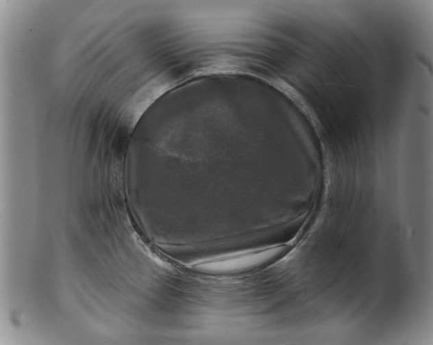 X0000099451337200805231732