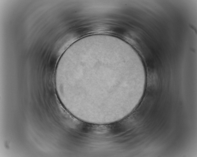 X0000099451338200805231732