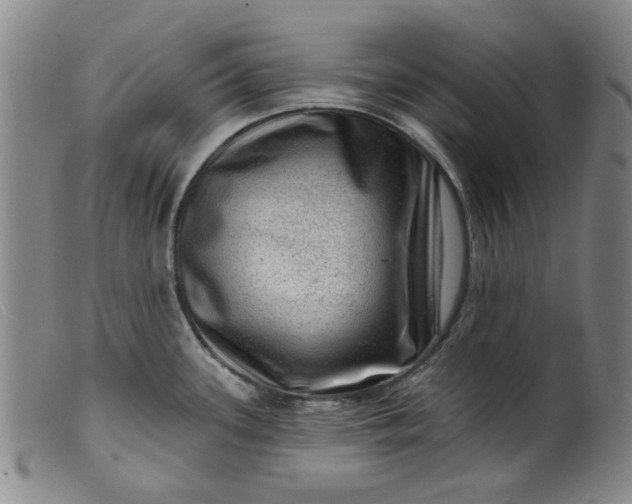 X0000099451339200805231732