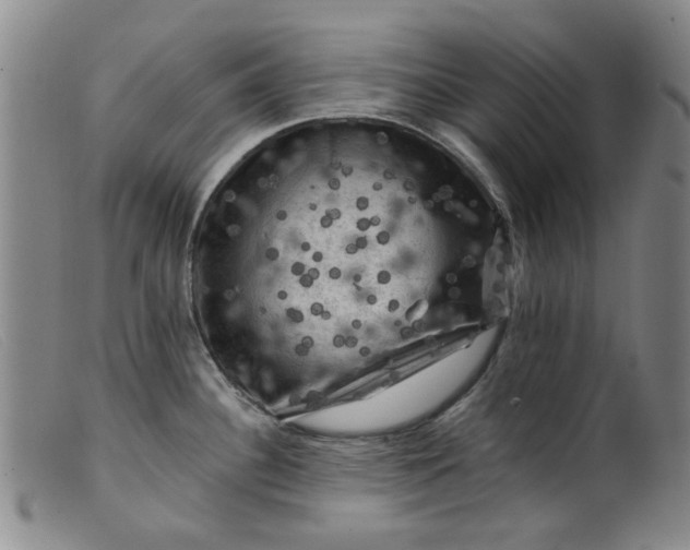 X0000099451340200805231732