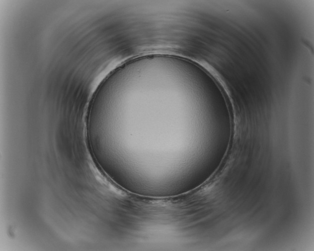 X0000099451341200805231732