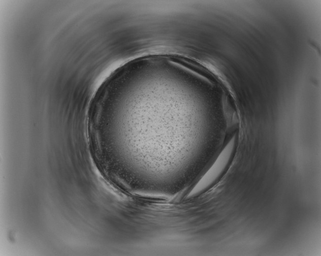 X0000099451342200805231732