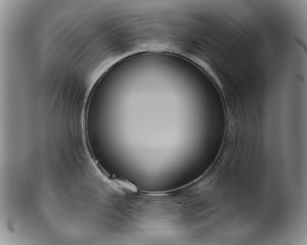 X0000099451343200805231732