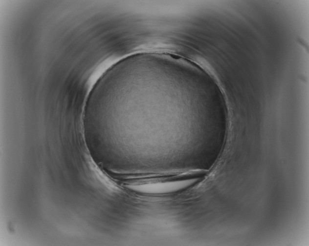 X0000099451344200805231732