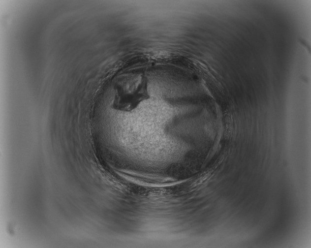 X0000099451345200805231731