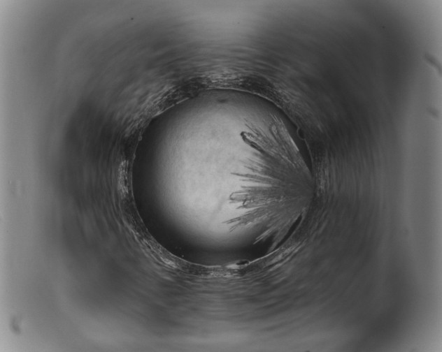 X0000099451346200805231731