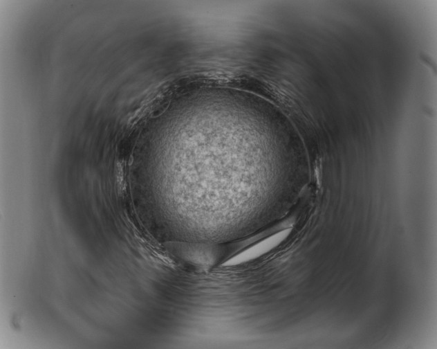 X0000099451347200805231731