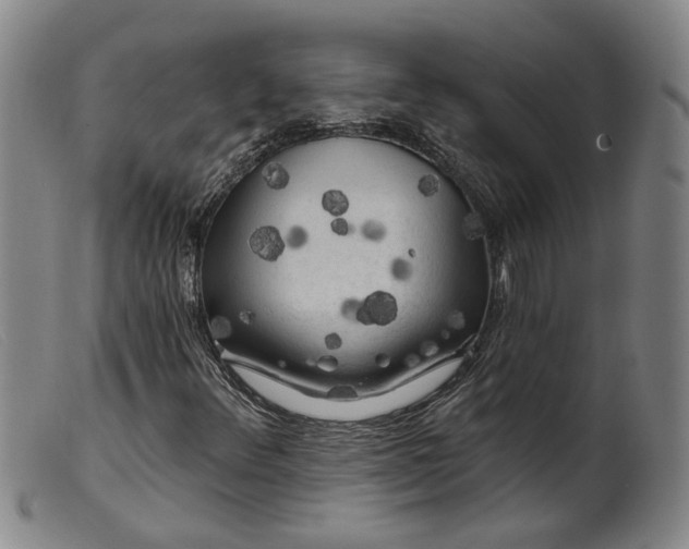 X0000099451348200805231731