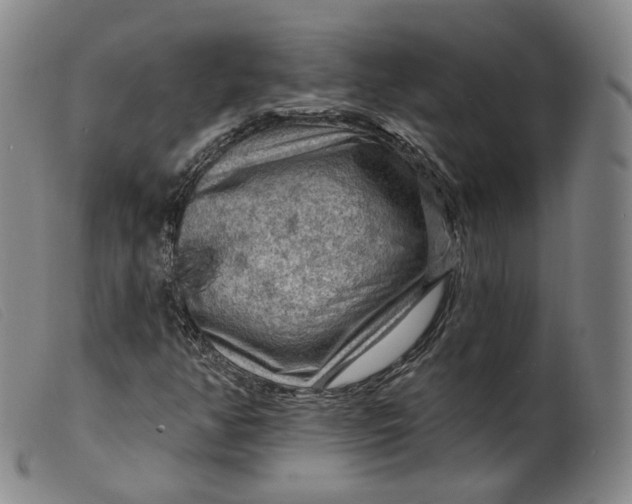 X0000099451350200805231731