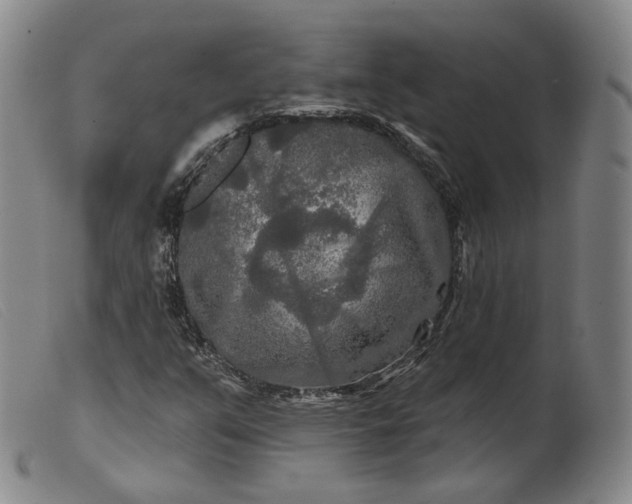 X0000099451351200805231731