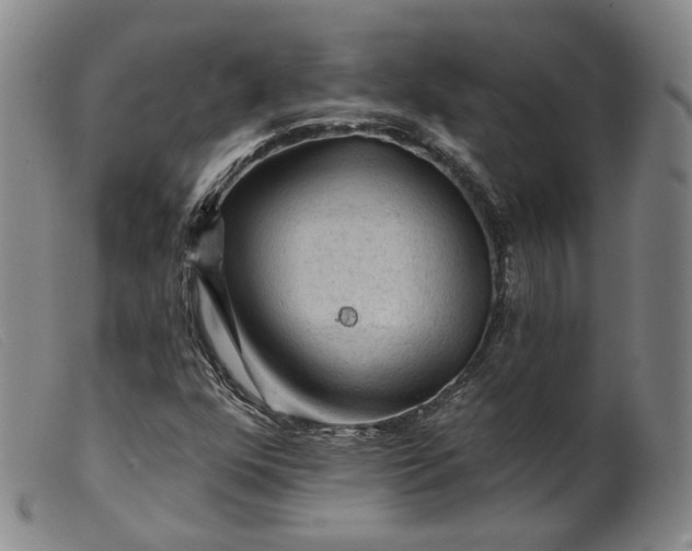 X0000099451352200805231731