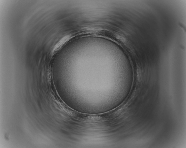 X0000099451354200805231731