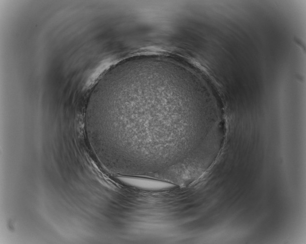 X0000099451355200805231731