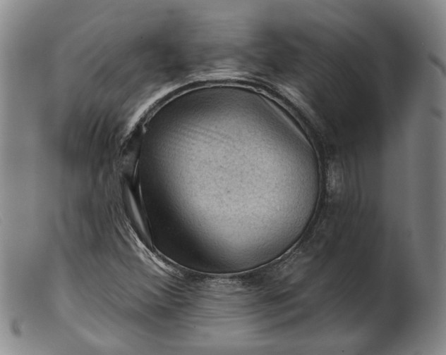 X0000099451356200805231731