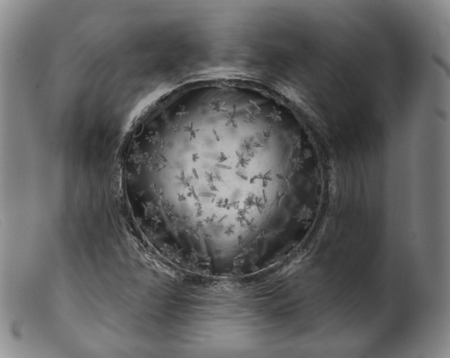 X0000099451358200805231731