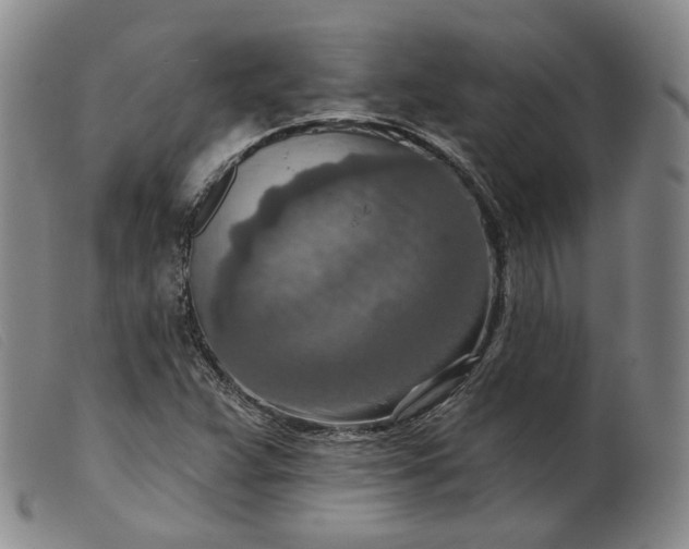 X0000099451359200805231731