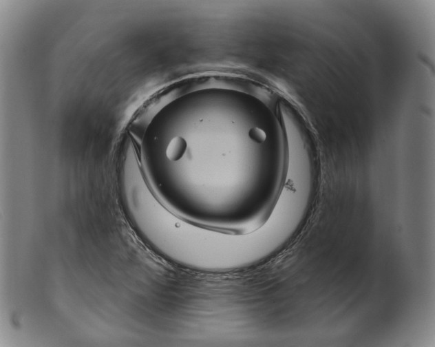 X0000099451360200805231731