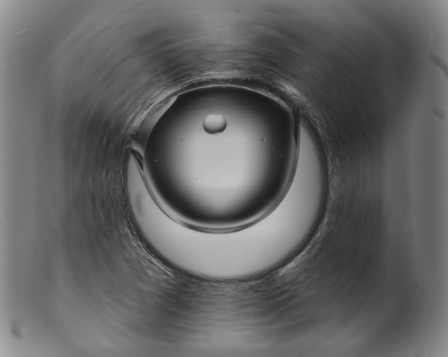 X0000099451361200805231731