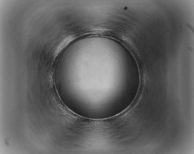 X0000099451362200805231731