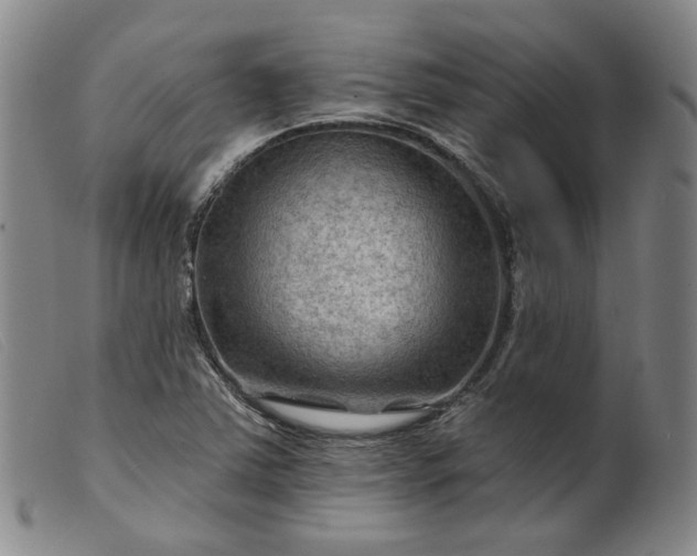 X0000099451363200805231731