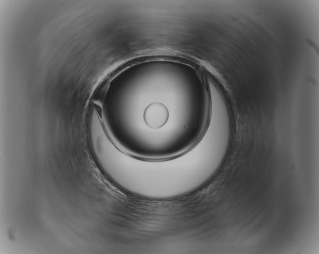 X0000099451364200805231731