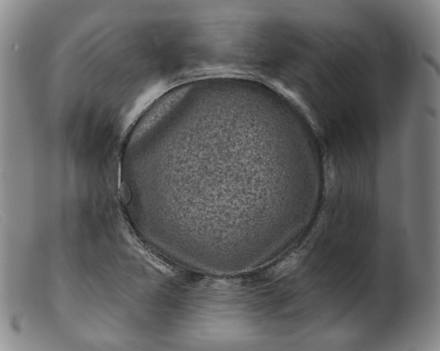 X0000099451365200805231731