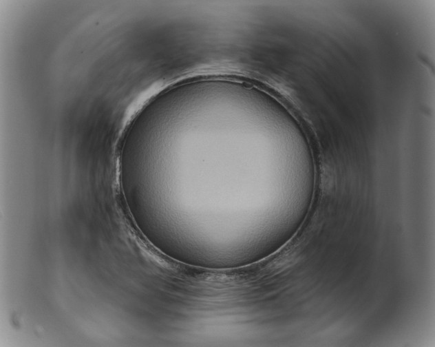 X0000099451366200805231731