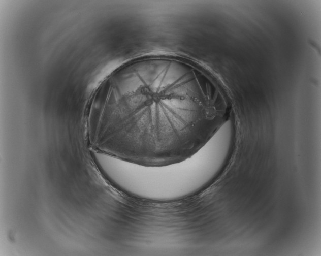 X0000099451367200805231731