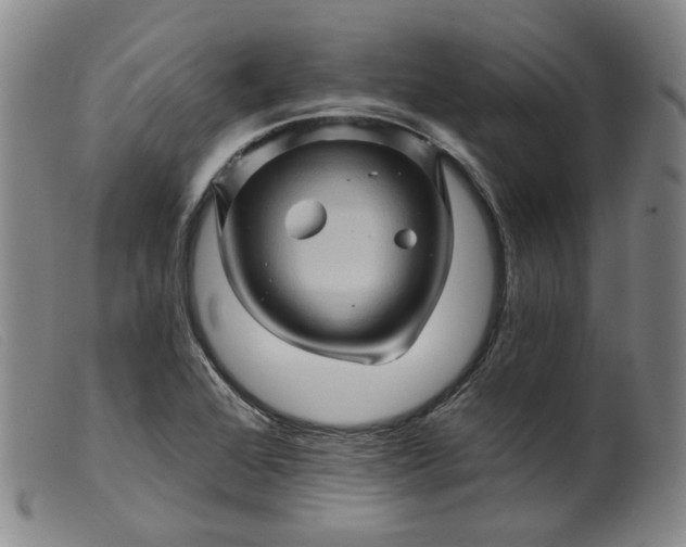 X0000099451368200805231731