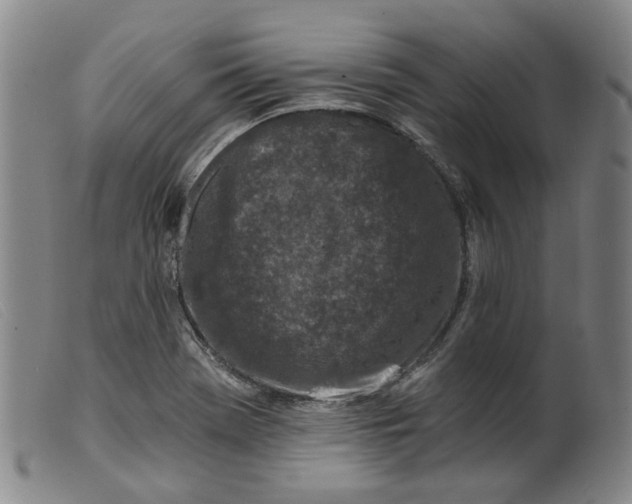 X0000099451369200805231731