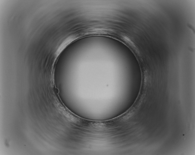 X0000099451370200805231731