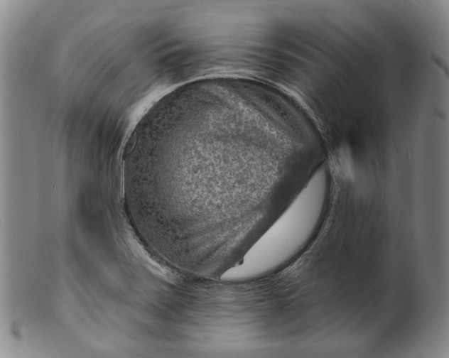 X0000099451371200805231731