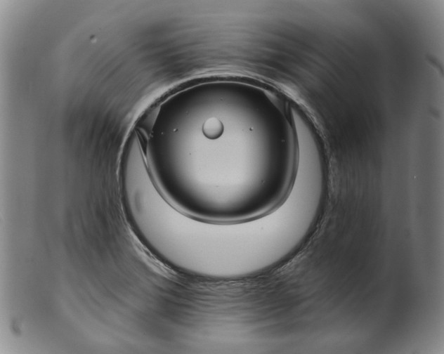 X0000099451372200805231731