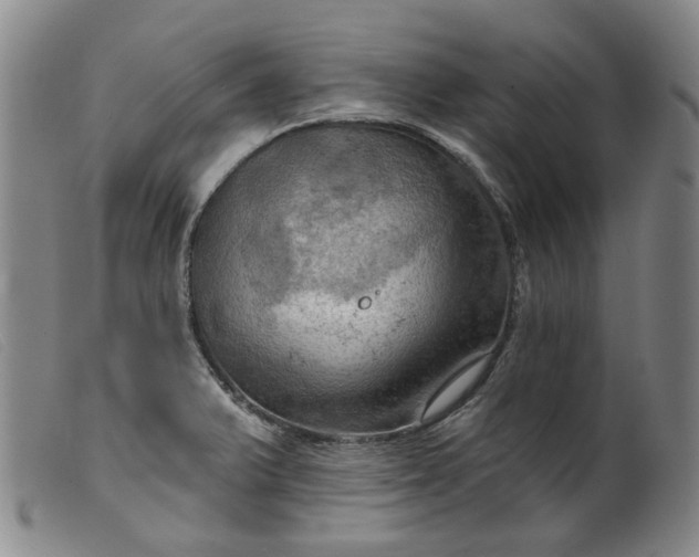 X0000099451375200805231731