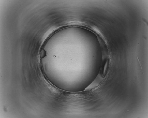 X0000099451376200805231731