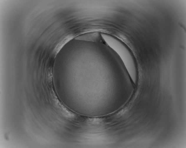 X0000099451377200805231731