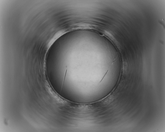 X0000099451378200805231731