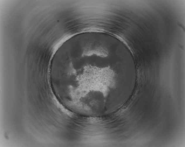 X0000099451379200805231731