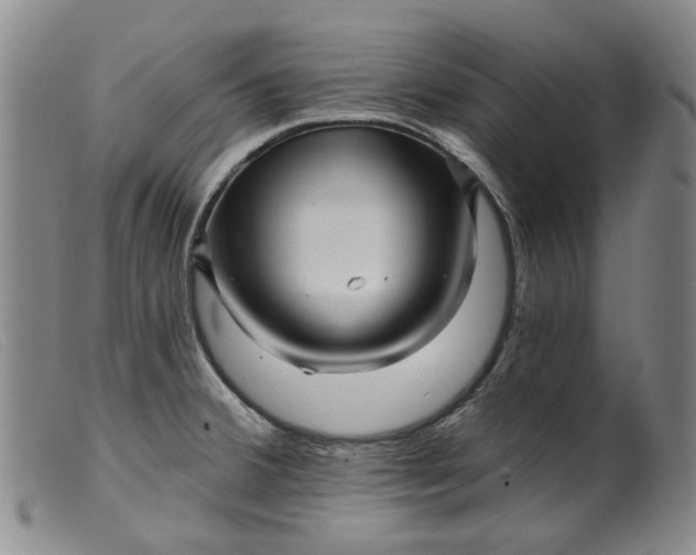 X0000099451380200805231731