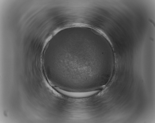 X0000099451381200805231731