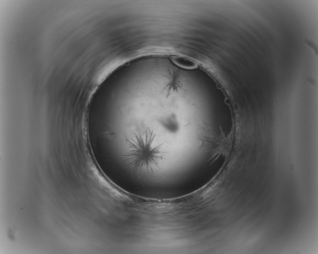 X0000099451382200805231731