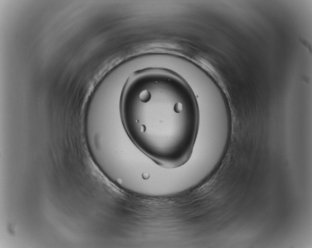 X0000099451384200805231731