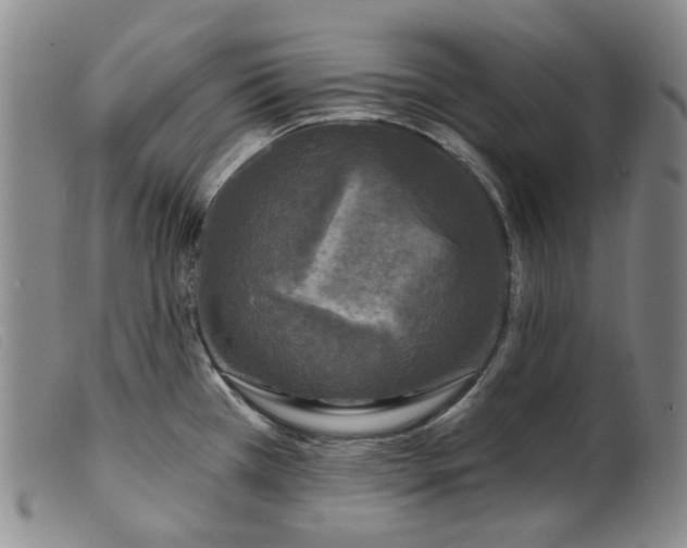 X0000099451385200805231731