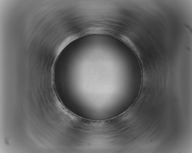 X0000099451386200805231731